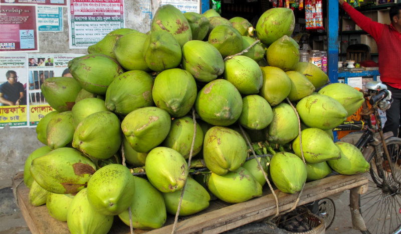 COCUNUT