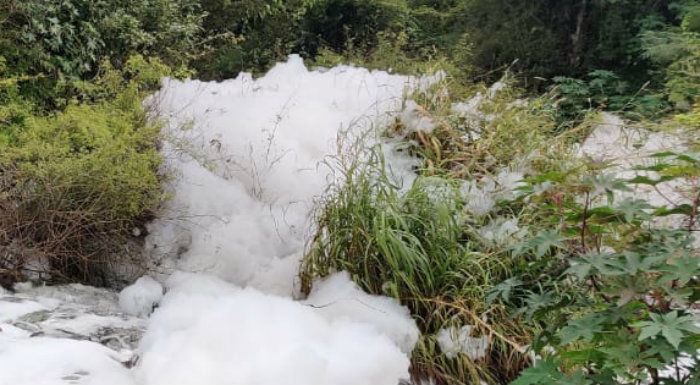 FOAM