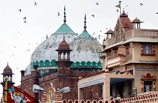 Mathura mosque 2