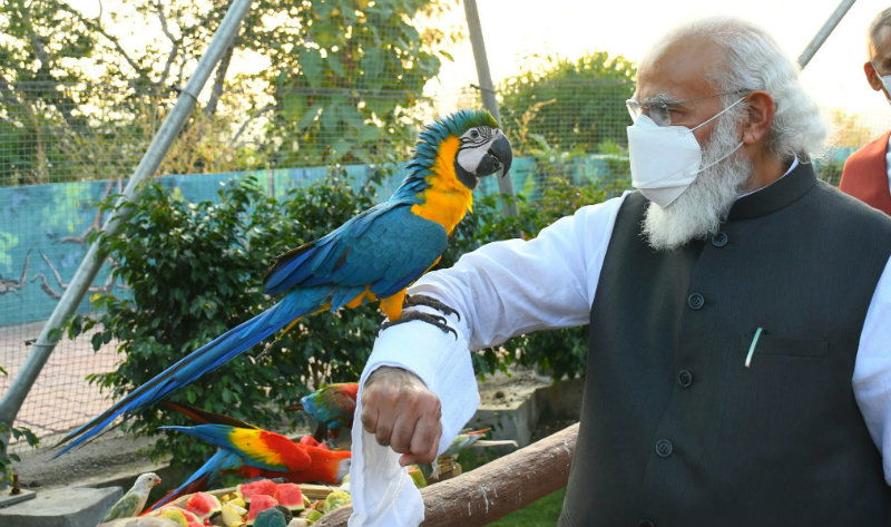 PM Modi b 1