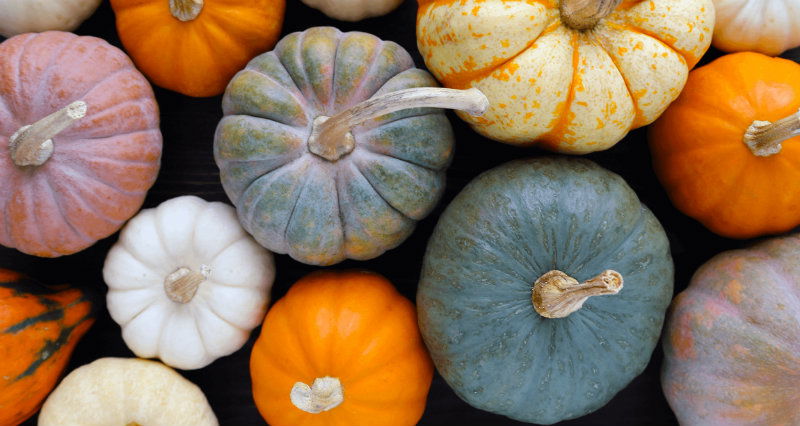 PUMPKIN
