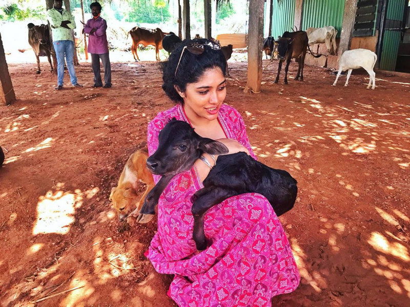 SAMYUKTA HORNAD 5