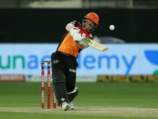 david warner
