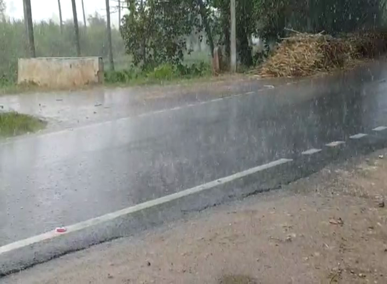 rain 1 1