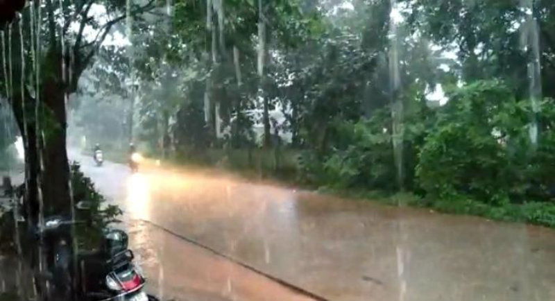 udp rain 1