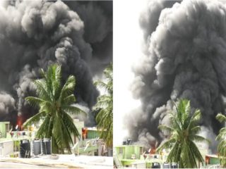 BNG FIRE 2