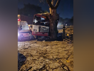 Bus Tree 1