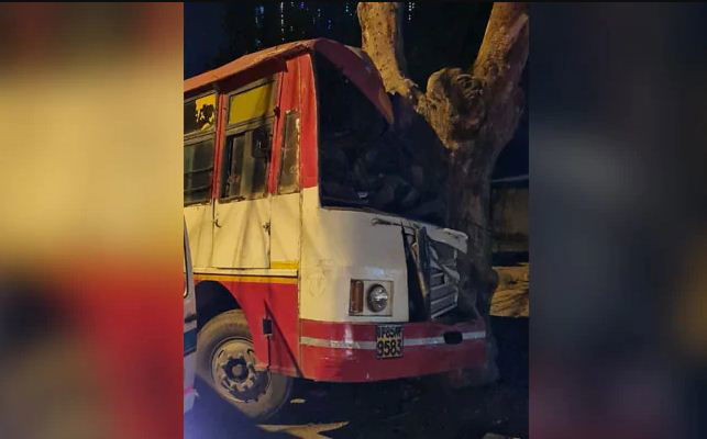 Bus Tree