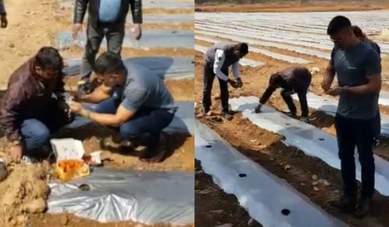 Dhoni Farming 3