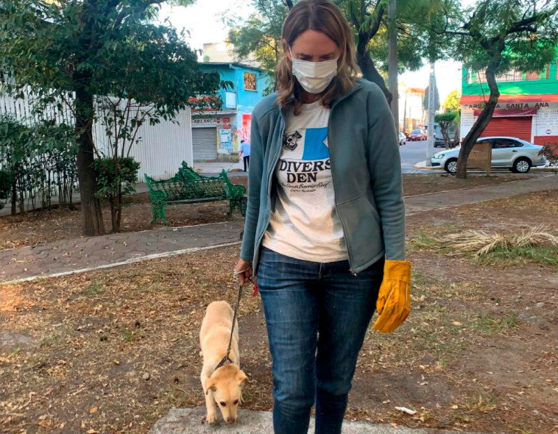 Mexico Dog 3