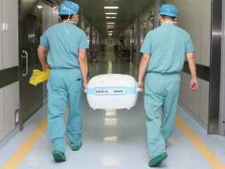 organ donation