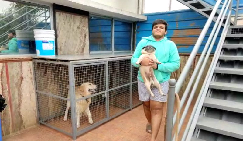Bengaluru Dog 2