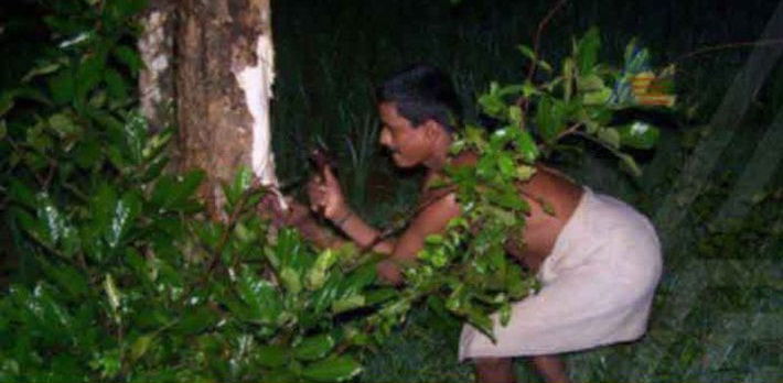 maddale mara aati amavasye