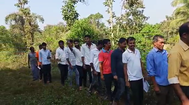 mng mamata 2 1