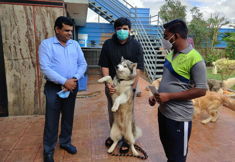 nelamngala missing dog 1