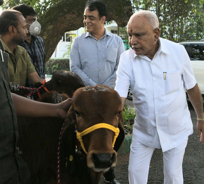 CM BSY COW 1
