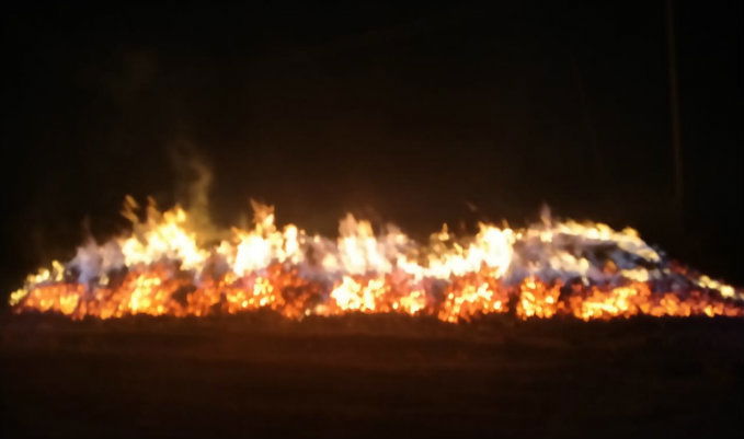 HSN Fire