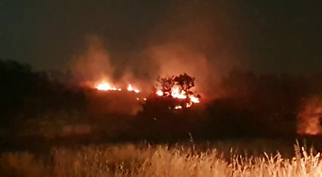 TMK FIRE 1