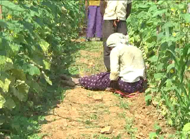 ctd farmer 14