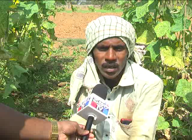 ctd farmer 4