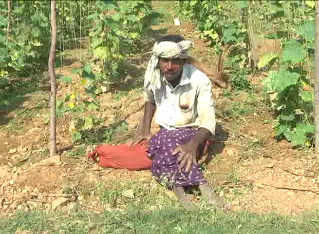 ctd farmer 5