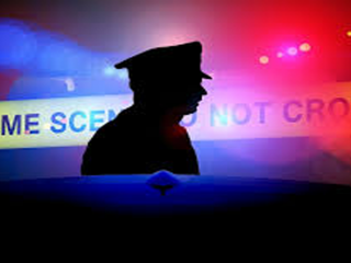 police web 11