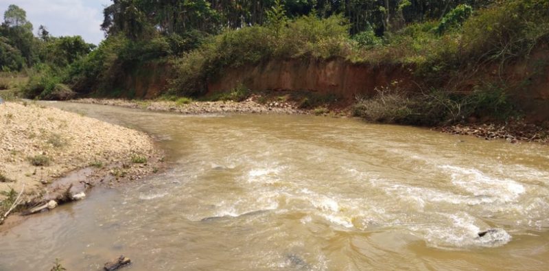 CKM Bridge 6