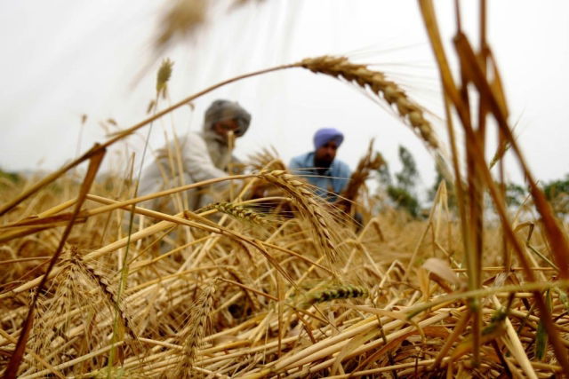 Farmers APMC 1
