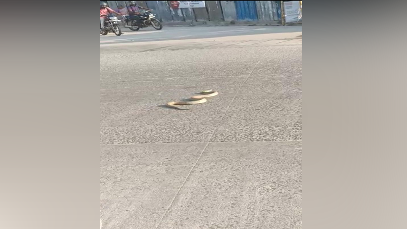 UDP Snake 2
