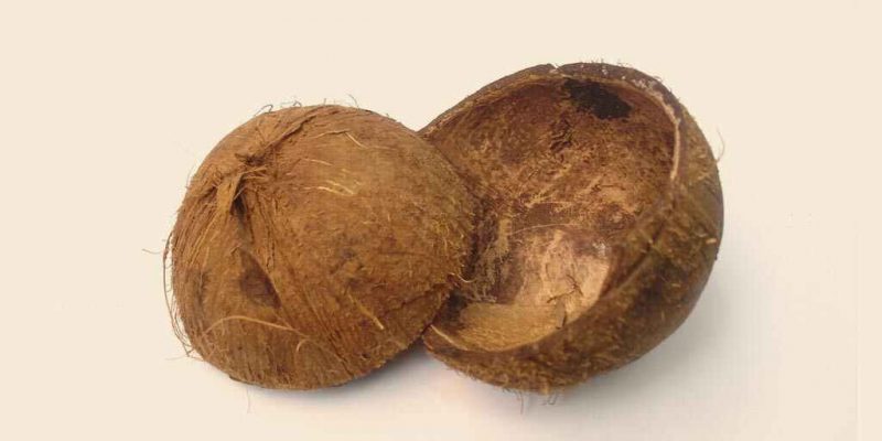 Use Coconut Shells Different Ways In Your House