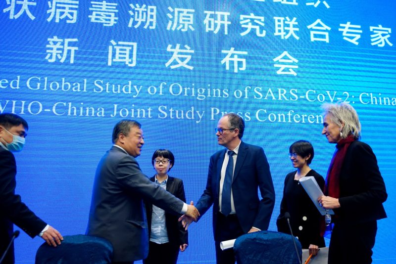 WHO study corona covid china wuhan 3