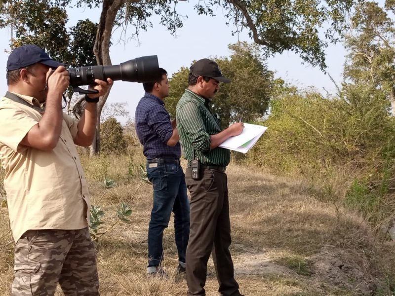 bandipur forest bird survey 1