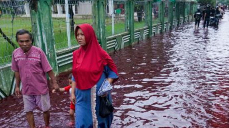 indonesian2