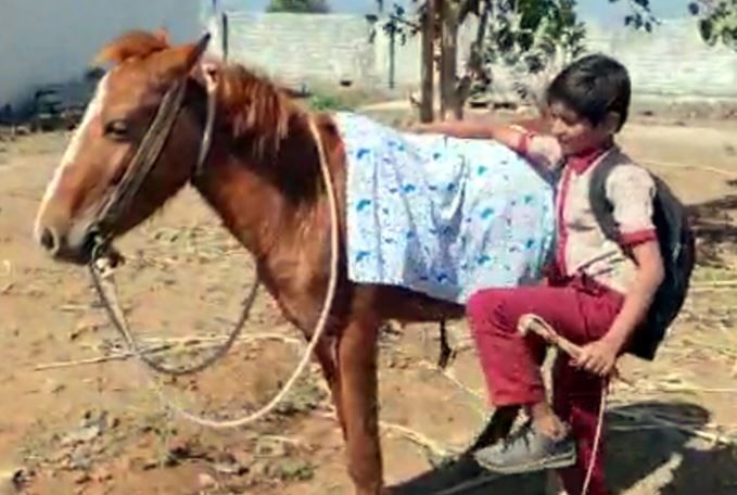school boy horse 2