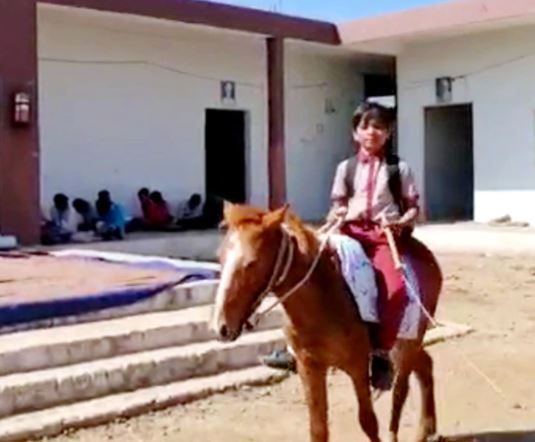 school boy horse 3