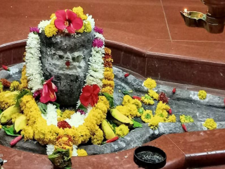 shivlinga web
