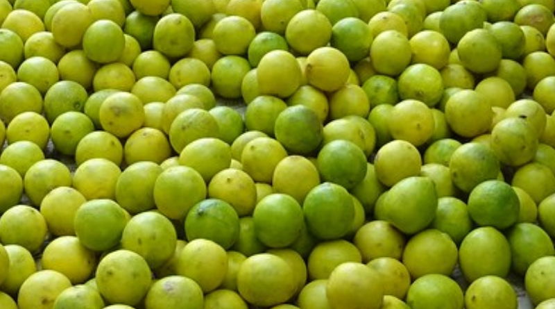 LIMBU