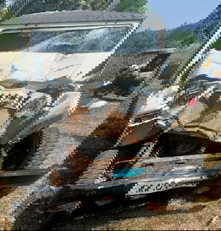 MDK Bus Accident 2