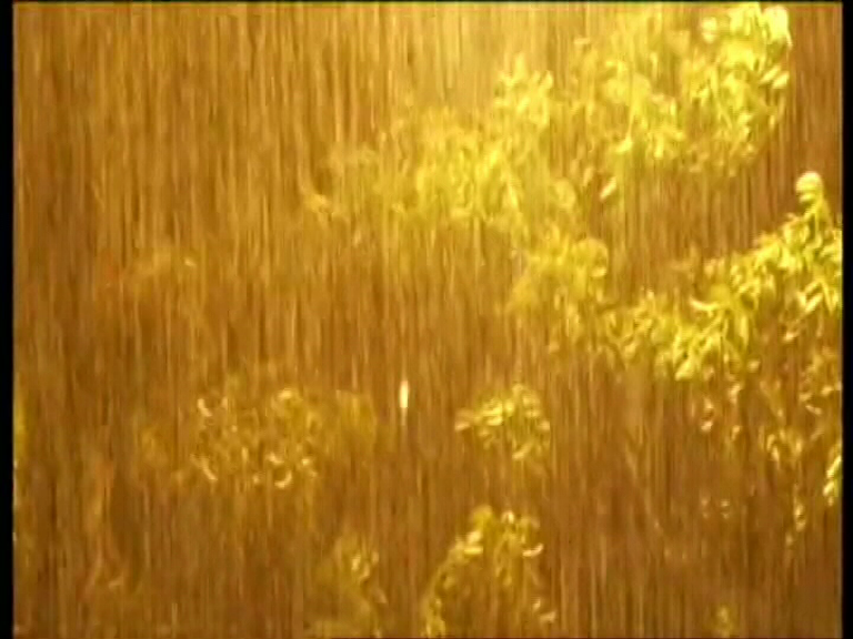 blr bng rain 9