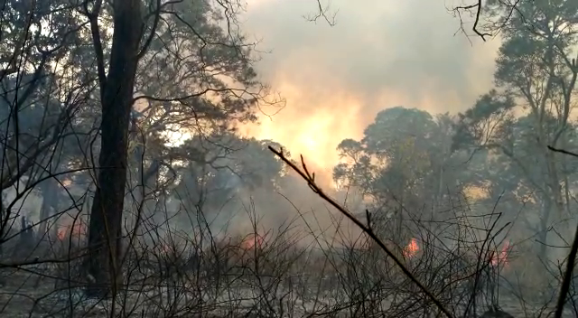 dubare fire