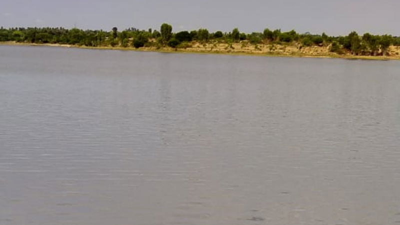 ckb fish 1