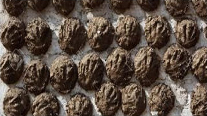 cow dung cakes 1