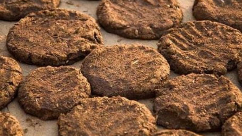 cow dung cakes7