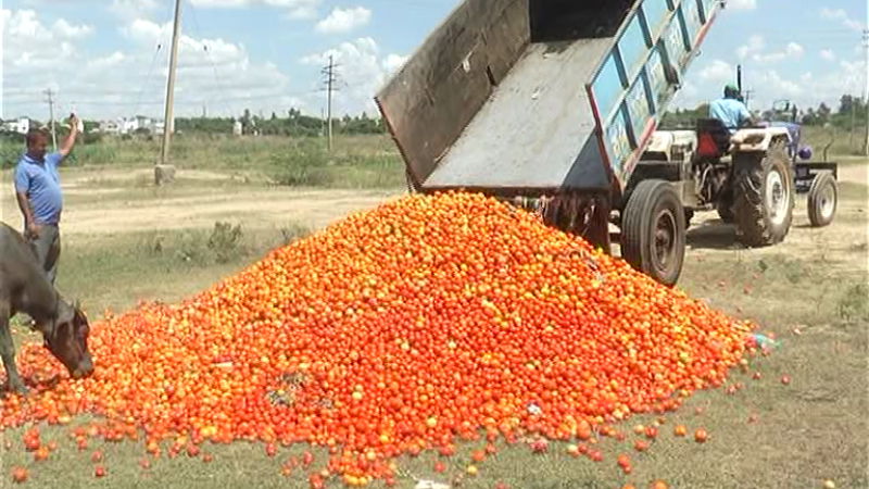 kopla flower waste4