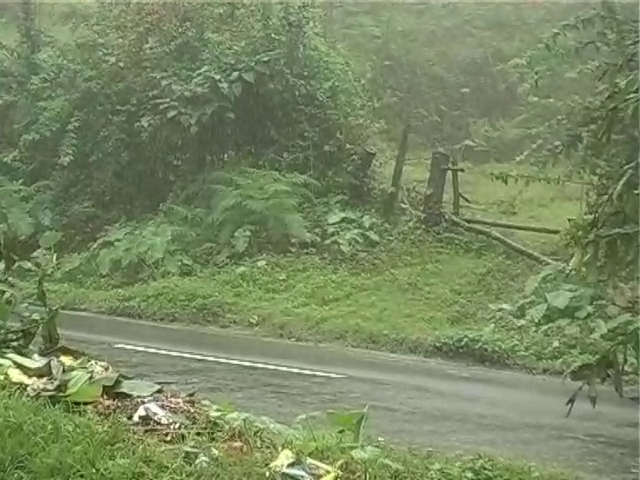 mdk rain 2 1