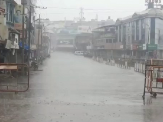 mdk rain