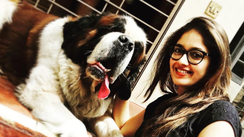 meghana raj dog