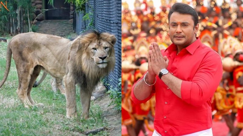 DARSHAN medium