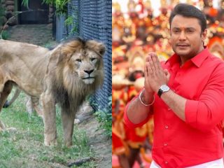 DARSHAN small