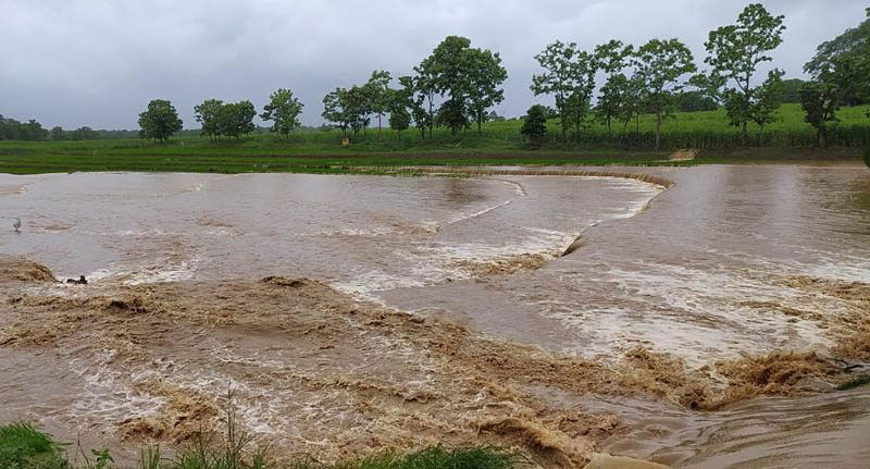 DWD Rain 1 medium